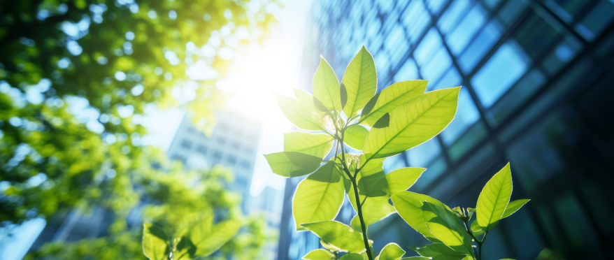 AsstrA publie son rapport ESG 2024 : des progrès tangibles vers une logistique durable